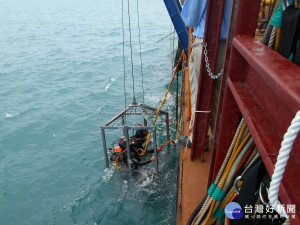 幫助八里海放管延壽　北市出動「海底救援隊」　