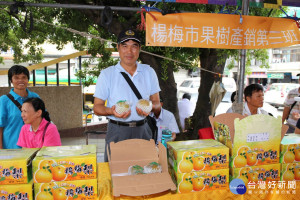楊梅區公所於埔心瑞塘活動中心戶外廣場舉辦「2017楊梅農特產品展銷推廣系列活動」。
