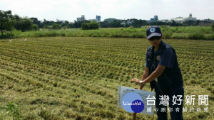 桃園市環保局於7月28日啟動預防性剷除銷燬、禁止收穫告示牌插牌等作為。