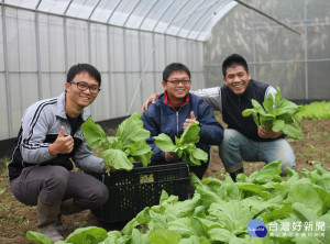 新北成功輔導農友耕作有機蔬菜，除讓學童吃的安全也吃的健康。（圖／記者黃村杉攝）