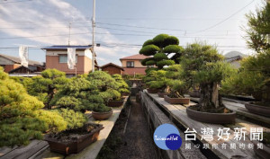 鬼無盆栽「神高松壽園」。