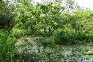 大安森林公園經營有成　台南社大北上取經