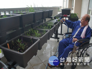 光田綜合醫院成立大甲區「仁馨樂活園區」，打造輪椅族也能種植的

小菜園，讓因中風行動不便的長輩也能享受種菜樂趣。（記者陳榮昌
攝）
