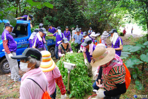 蔓來快除 護樹尖兵你我一起來 全國防治月 除蔓活動開跑