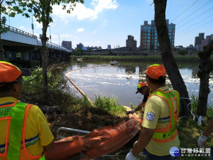 高溫水中溶氧不足　基隆河魚群缺氧死亡