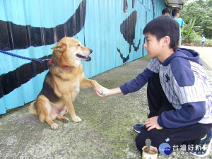 動保處招募生命教育志工，使學童從玩耍中學習如何善待動物。（圖／動保處提供）