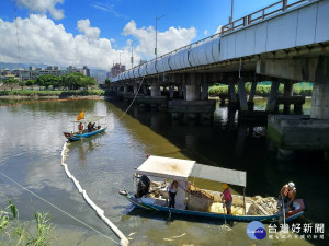 加派人力物力打撈　北市府團隊合作清除死亡魚群