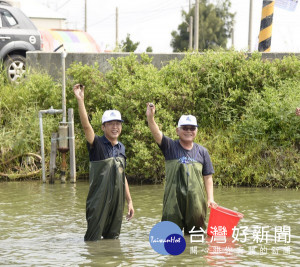 縣長李進勇與口湖鄉長林哲凌體驗魚塭摸文蛤、乘膠筏打撈龍鬚菜的樂趣，推廣雲林優質水產品料理。（記者陳昭宗拍攝）