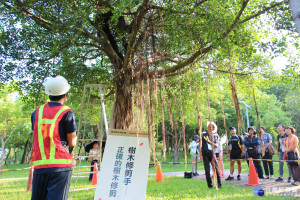 護樹建立初診制度　北市啄木鳥計畫開跑