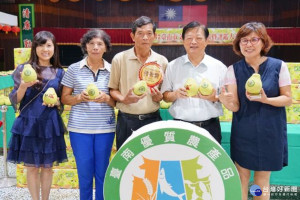 台南市文旦大賽，由麻豆區郭清淵奪得特等獎。