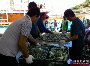 受到老饕青睞的萬里蟹，又到民眾嚐鮮的季節。（圖／漁業處提供）