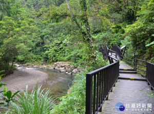 坪林北勢溪上游的金瓜寮魚蕨步道，可探訪低海拔溪流森林生態之美。（圖／觀旅局提供）