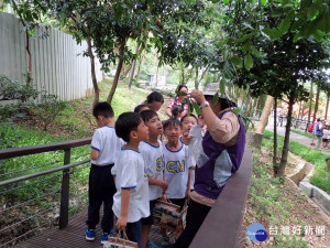 環境教育的後花園  桃園虎頭山公園