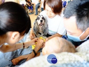 仁馨樂活園區長輩昨日高興的與治療犬互動，稱讚狗狗「古錐喔」。（記者陳榮昌攝）