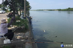 秋天是野生吳郭魚、豆仔魚大咬時分，台南沿海出海口河道平常日吸引不少垂客前往下竿，假日釣友更多。(圖/記者黃芳祿攝)