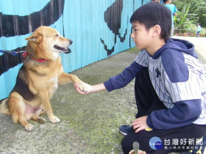 動物之家狗狗和兒童互動（圖／資料照）