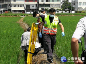 警消搶救昏倒稻田老人。林重鎣攝