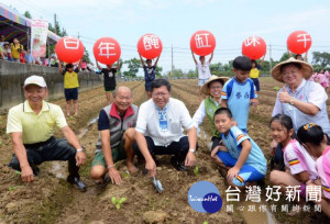 桃園市長鄭文燦，出席桃園市千人踩客家酸菜活動－栽種儀式。

