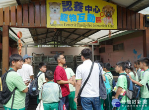 新莊裕民國小學童30日於板橋動物之家由動保叔叔、阿姨帶領學習照顧小動物的觀念及樂趣。（圖／記者黃村杉攝）