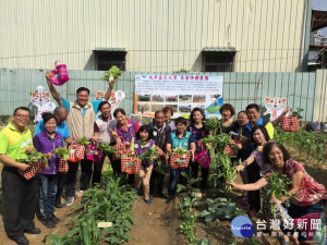 太平永成快樂農園採收。林重鎣攝