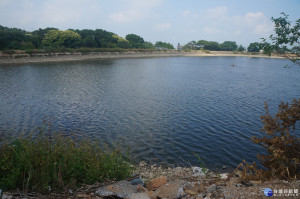 楊梅區民生池埤塘。