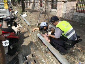 民眾遛狗突然身體不適倒地，熱心民眾報請警消即刻協助救援護送就醫