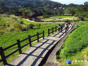 樟樹步道沿途綠意景緻，全程平緩易走（圖／大地工程處提供）