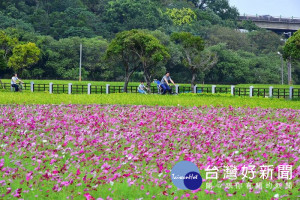 龍潭花區將溪流、花海、田園、美學等特色結合，打造專屬龍潭的花區造景。