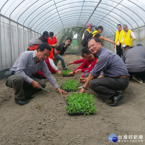 大溪義和農場成立有機聚落，除進行掛牌之外，區長黃睿松與北區分署副署長陳吉成特別與小朋友種下有機蔬菜。（圖／記者陳寶印攝）
　