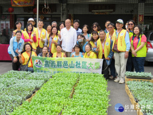 嘉義縣議長張明達服務處舉辦送芥菜苗上阿里山連續8年獲好評