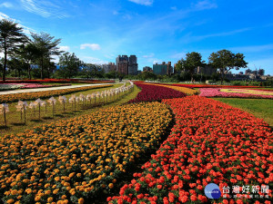 媲美國外花園　北市河濱豔麗花海浪漫綻放中