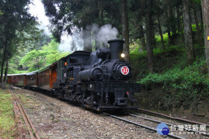 阿里山森林鐵路105歲了！平安夜限定林業文化列車首度開放搭乘體驗