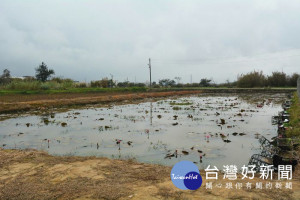 106年度水患自主防災社區評鑑特優現地訪評—觀音區樹林里。

