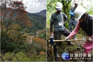 鳩之澤手作步道及楓紅美景。（圖／羅東林管處提供）