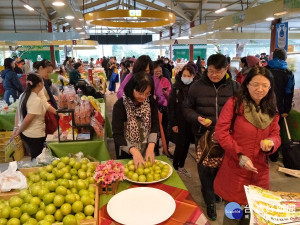 行銷在地農特產　屏東希望廣場周末辦「蜜棗蓮霧」展售會