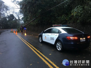 路樹倒塌影響交通 三灣警協助警示 用路人小心通行