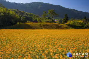 台灣風景、生態之美攝影聯展作品，藉由攝影手法，展現赤柯山景致。