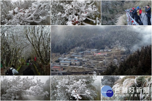 太平山出現霧淞美景。（圖／太平山國家森林遊樂區提供）