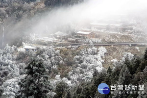 寒流持續發威，冰封太平山路。（圖／太平山國家森林遊樂區提供）