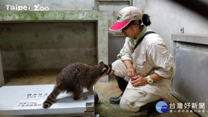 動物園增加不對外開放時間？　i-Voting差你一票