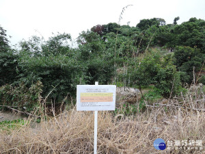 大寮區-邱厝坪800地號。（圖／高雄市政府地政局提供）