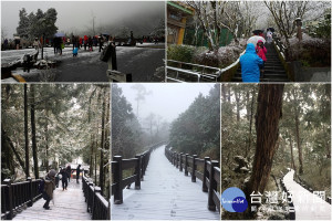 太平山降下今年第三波瑞雪，吸引大批遊客爭賞皚皚美景。（圖／太平山國家森林遊樂區提供）