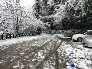 復興區拉拉山下起瑞雪，場面壯觀，警方要求車輛加掛雪鏈，以維安全。(記者陳寶印攝)
