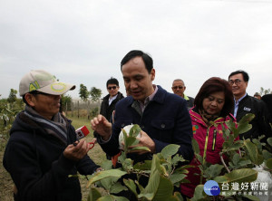 市長朱立倫率果菜公司同仁，造訪高雄有機農業專區馬清宮，以及屏東縣老實農場蔡耀輝。（圖／農業局提供）