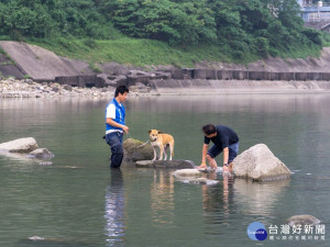 農曆春節長達6天假期，動物救援中心將24小時服務不打烊。（圖／動保處提供）