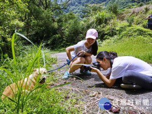 一群台大及政大的學生志工投入動物之家，共同關注流浪動物議題。（圖／動保處提供）