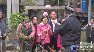 水湳里木蓮花.雞角刺盛開　邀民眾賞花趣