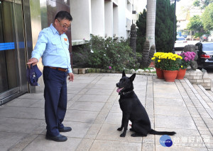 彰化建國科技大學的捍衛警犬「黑熊」。