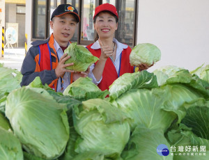 高麗菜、白菜等時令菜量暴增，新北果菜公司為不讓蔬果爛在田裡，立即啟動因應措施擴大直銷，鼓勵民眾消費。（圖／記者黃村杉攝）