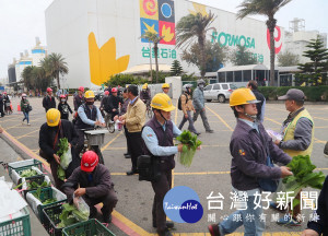 台塑麥寮廠區響應保護農民措施，大量採購葉菜，免費贈送員工與包商「加菜」，盼拋磚引玉協助農民度過難關。（記者陳昭宗拍攝）